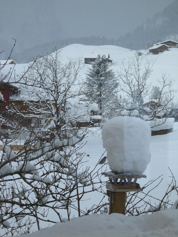 Appartement Urlaub Bei Moses à Schoppernau Extérieur photo